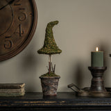 Potted Moss Witch’s Hat Topiary