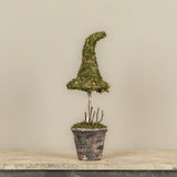 Potted Moss Witch’s Hat Topiary