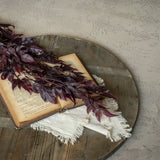 Burgundy Spikenard Hanging Bush
