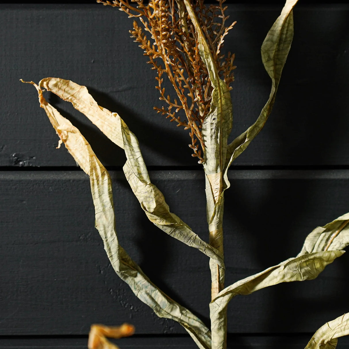 Faux Dried Cornstalks