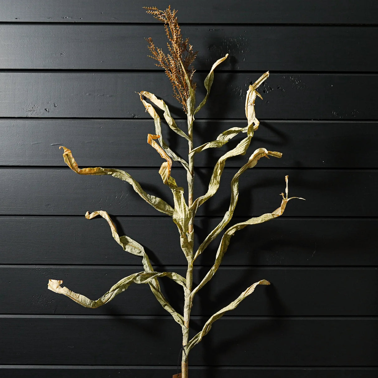 Faux Dried Cornstalks