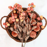Yellow & Orange Berry Stem