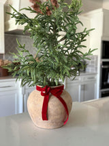 Distressed Clay Terracotta Planter Vase