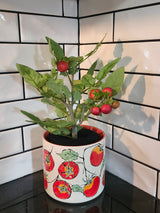 Faux Potted Tomato Plant