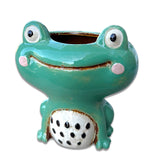 Ceramic Quirky Smiling Face Green Frog Planter