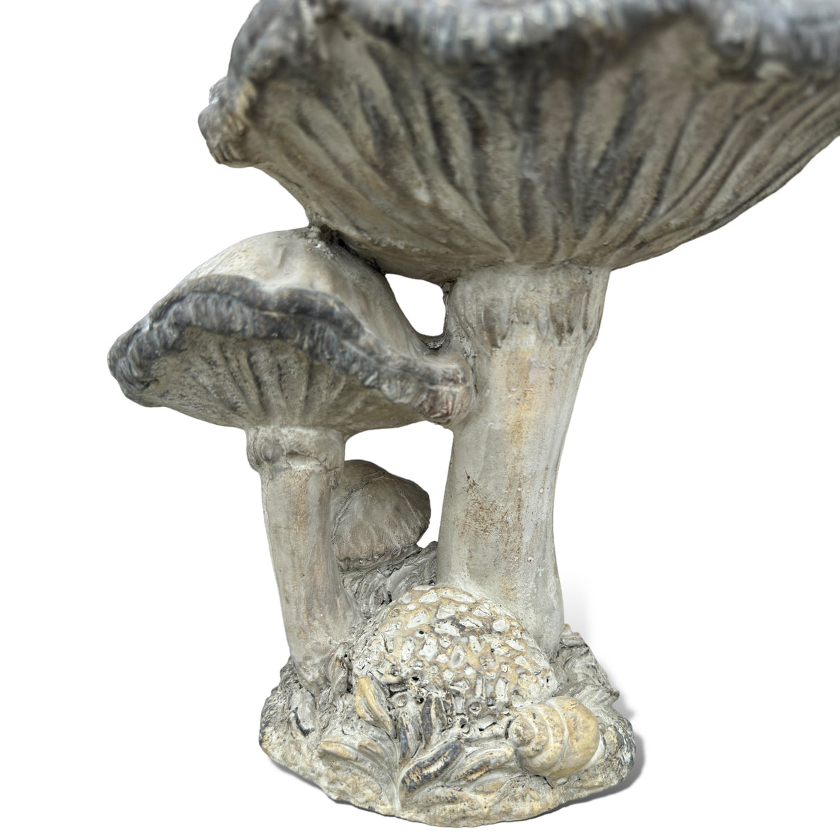 Concrete Cap Mushroom Specimens