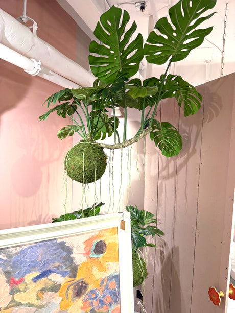 Hanging Faux Monstera Kokedama Plant
