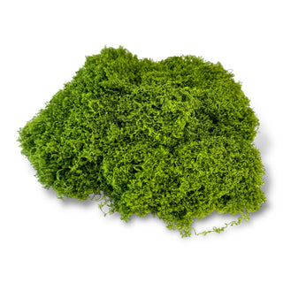 Faux Filament Green Moss