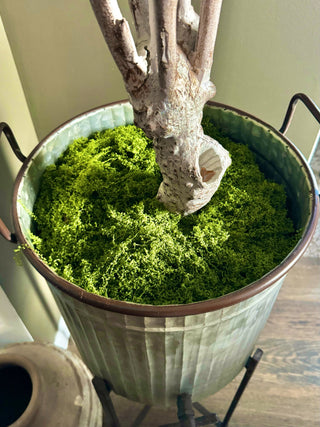 Faux Filament Green Moss