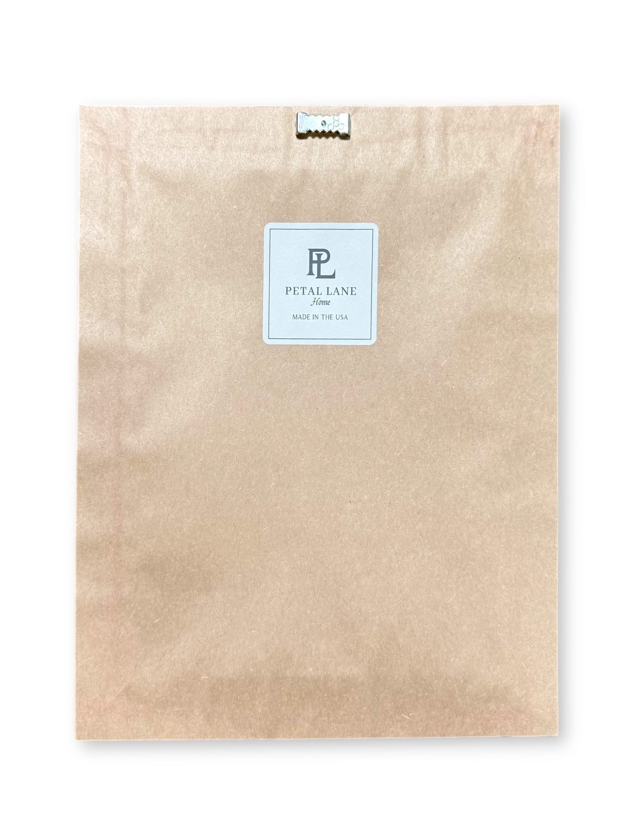 Framed Strawberry Botanical Wall Art