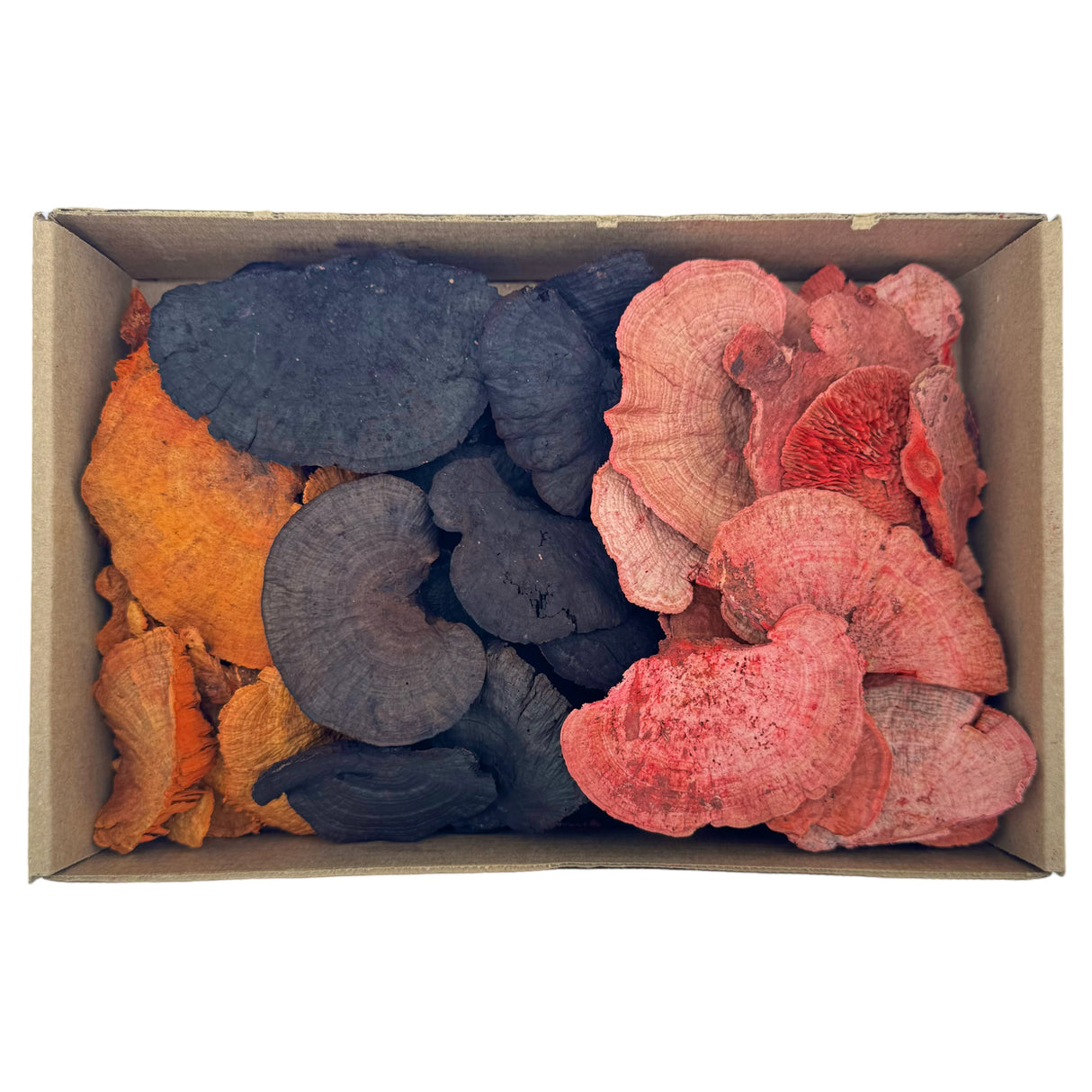 Box of Colorful Dried Mushrooms