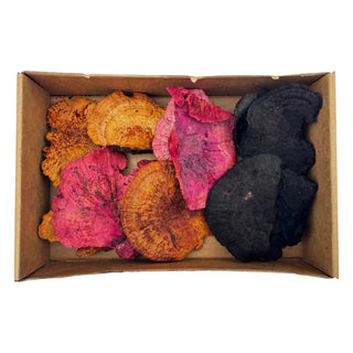 Box of Colorful Dried Mushrooms