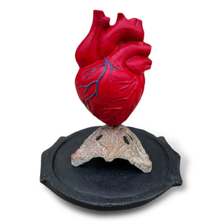 Aluminum Heart Model on Stand