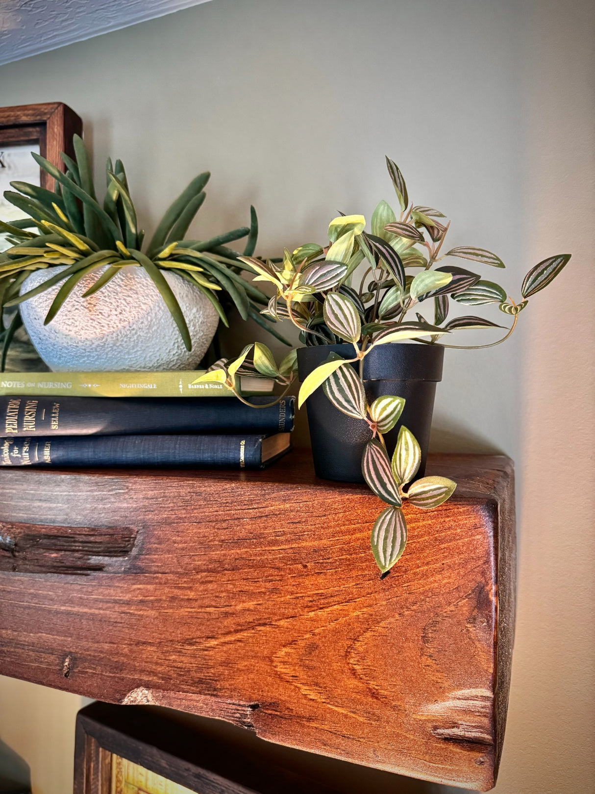 Faux Potted Pink Zebrina Plant