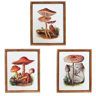mushroom paper framed prints