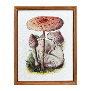 Mushroom Recycled Paper Wood Framed Prints