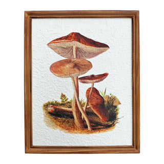 Mushroom Recycled Paper Wood Framed Prints