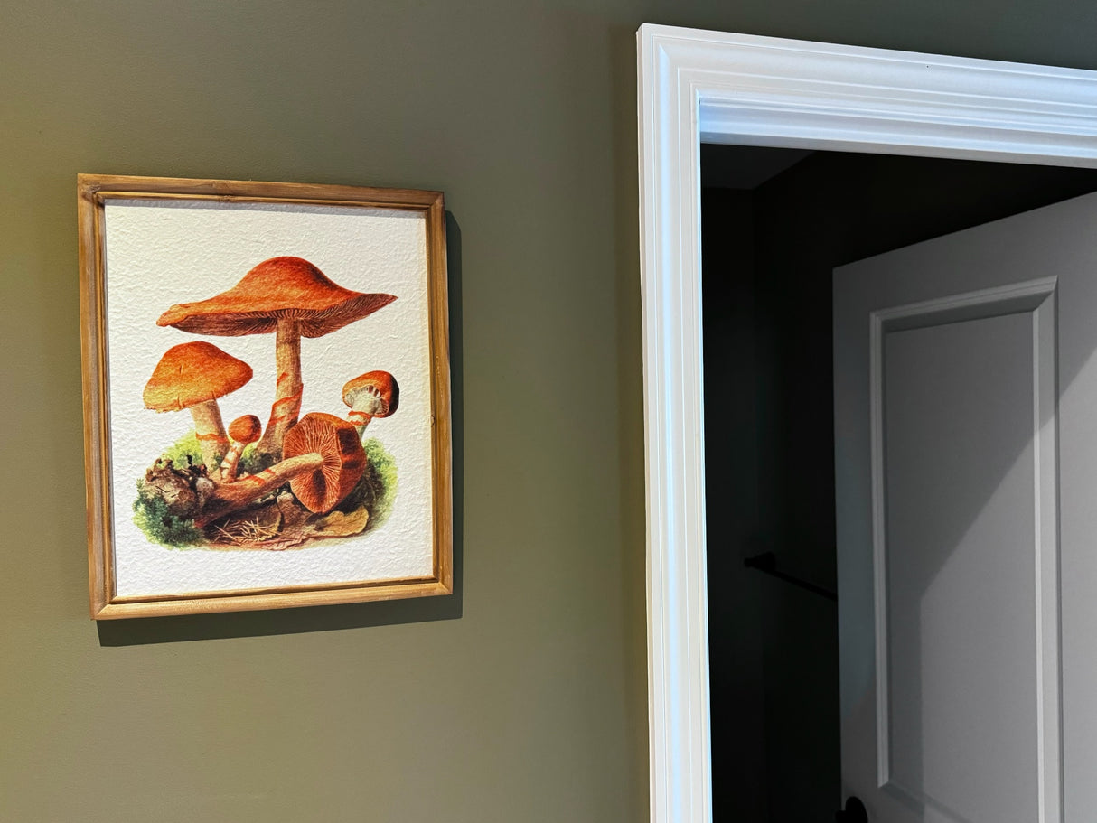 Mushroom Recycled Paper Wood Framed Prints