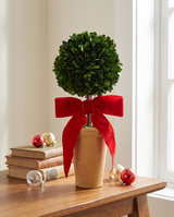 Dried Boxwood Topiary with Red Velvet Bow