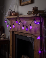 Black Cat Purple Classic Light Strand | Tru-Tone