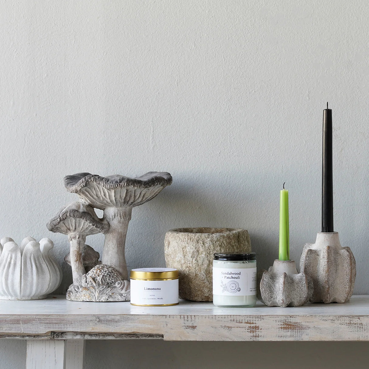 Concrete Cap Mushroom Specimens