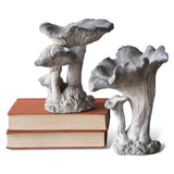 Concrete Cap Mushroom Specimens