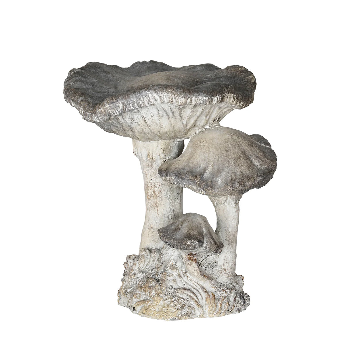 Concrete Cap Mushroom Specimens