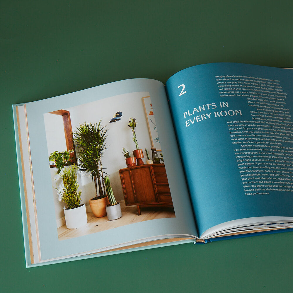 House Planted Book | Choosing, Growing, and Styling The Perfect Plants for Your Space