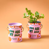 You Are My Jam Strawberry Grow Kit | Modern Sprout