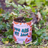 You Are My Jam Strawberry Grow Kit | Modern Sprout