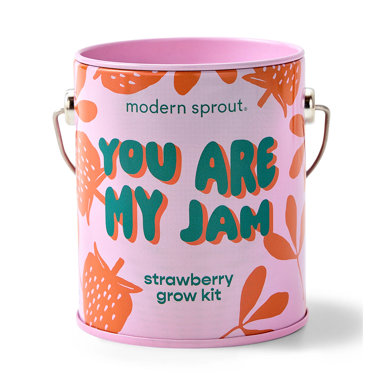 You Are My Jam Strawberry Grow Kit | Modern Sprout