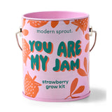 You Are My Jam Strawberry Grow Kit | Modern Sprout