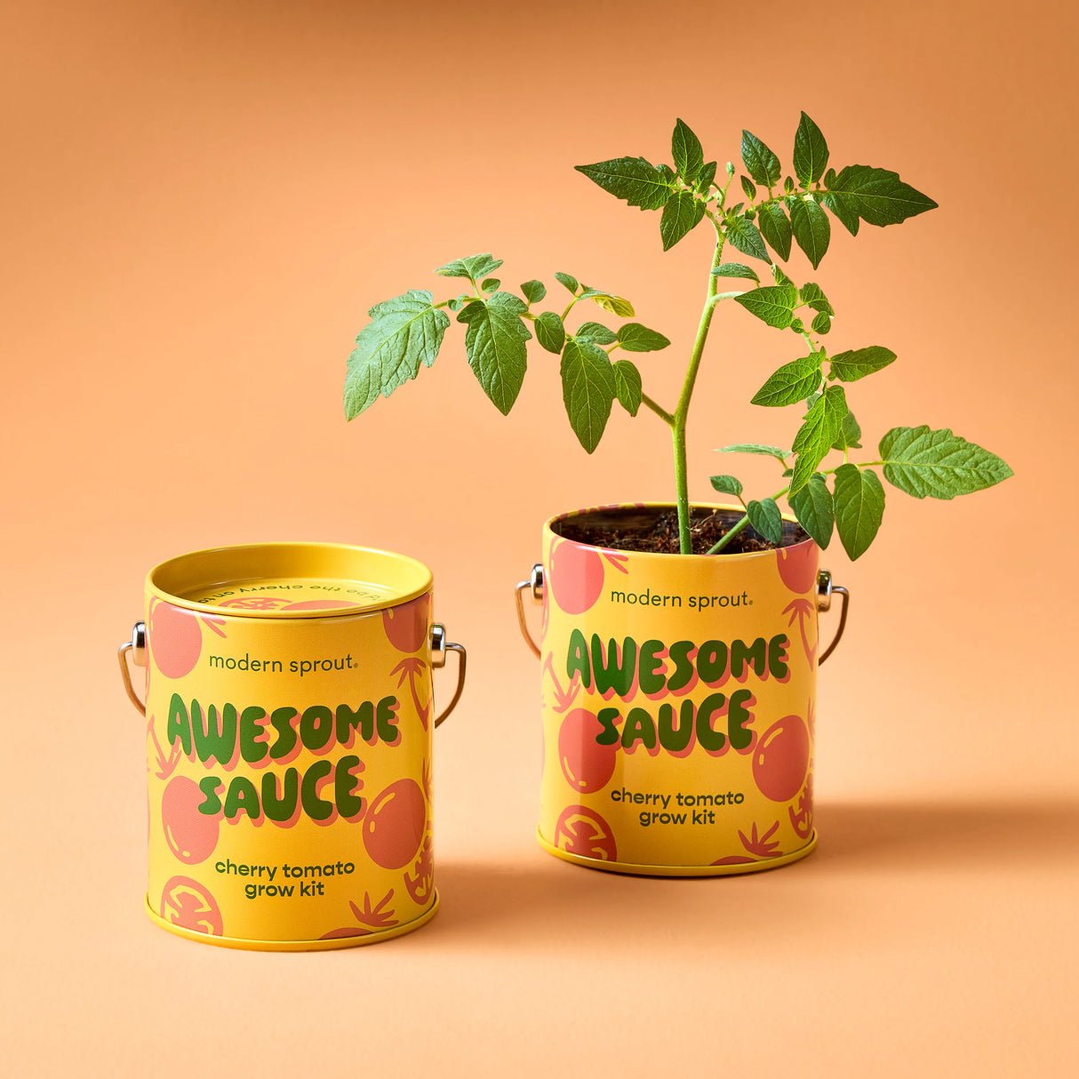 Awesome Sauce Cherry Tomato Grow Kit | Modern Sprout
