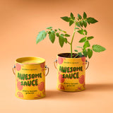 Awesome Sauce Cherry Tomato Grow Kit | Modern Sprout