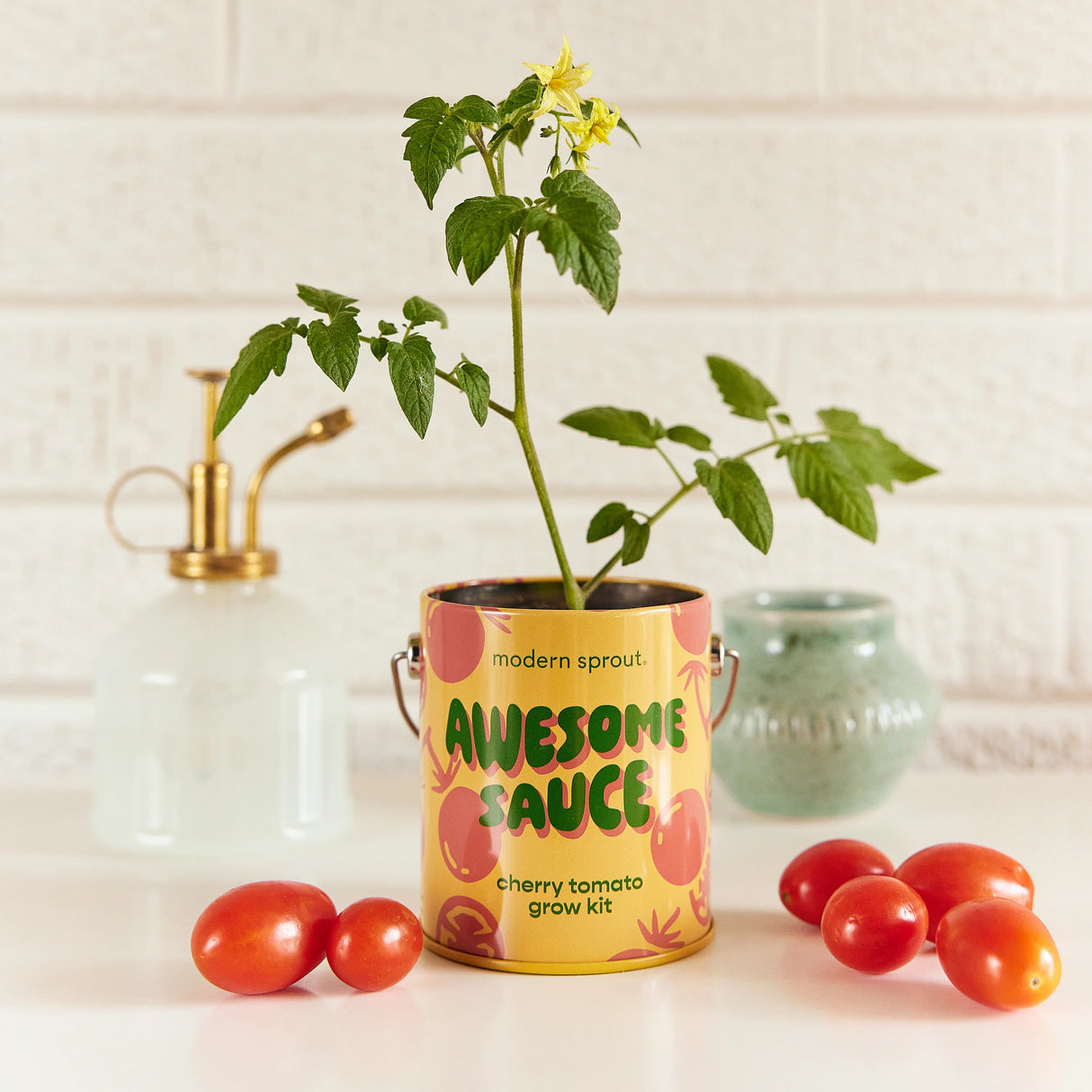 Awesome Sauce Cherry Tomato Grow Kit | Modern Sprout