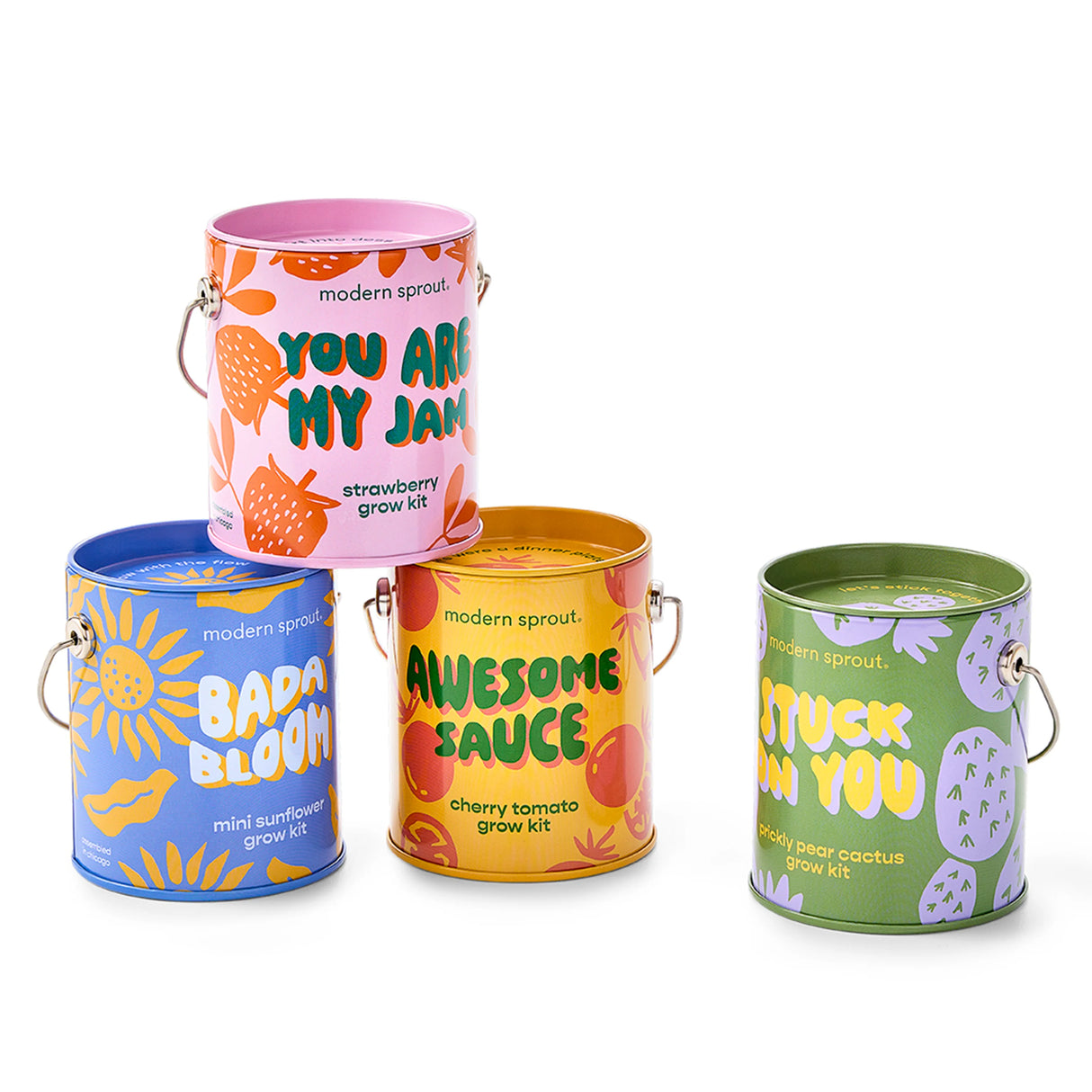 Bada Bloom Mini Sunflower Grow Kit | Modern Sprout