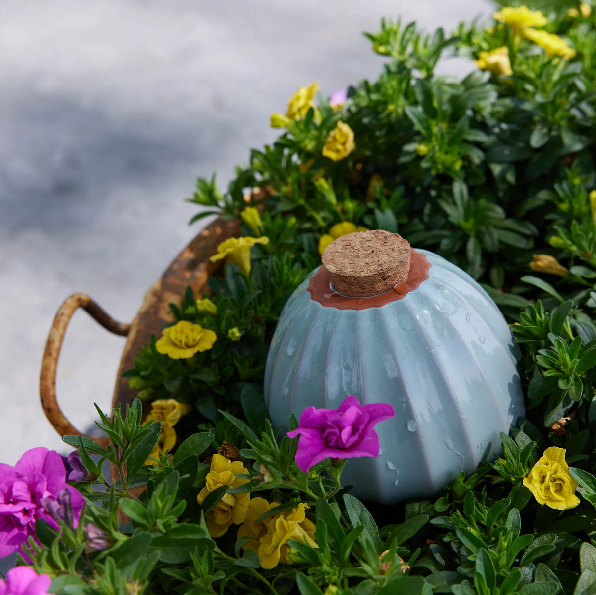 Glazed Terracotta Watering Bulb | Modern Sprout
