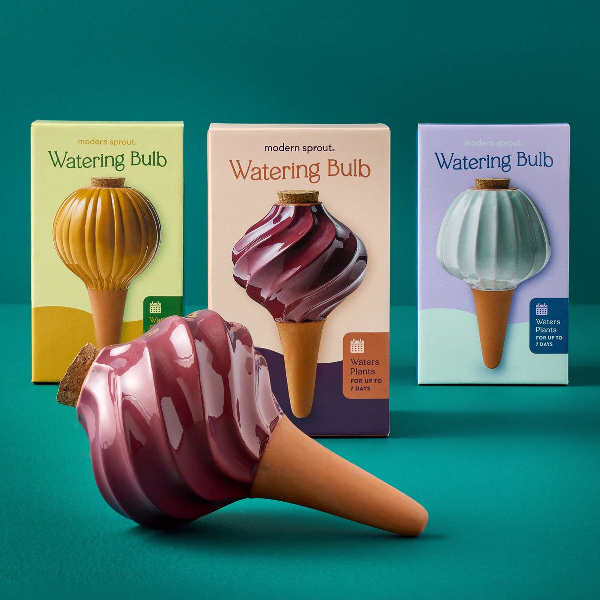 Glazed Terracotta Watering Bulb | Modern Sprout
