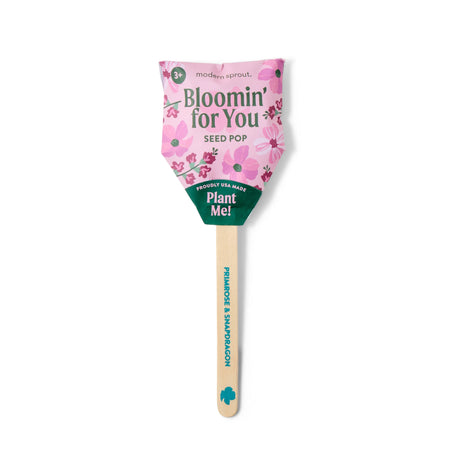 Plantable Wildflower Seed Pop Gift | Modern Sprout