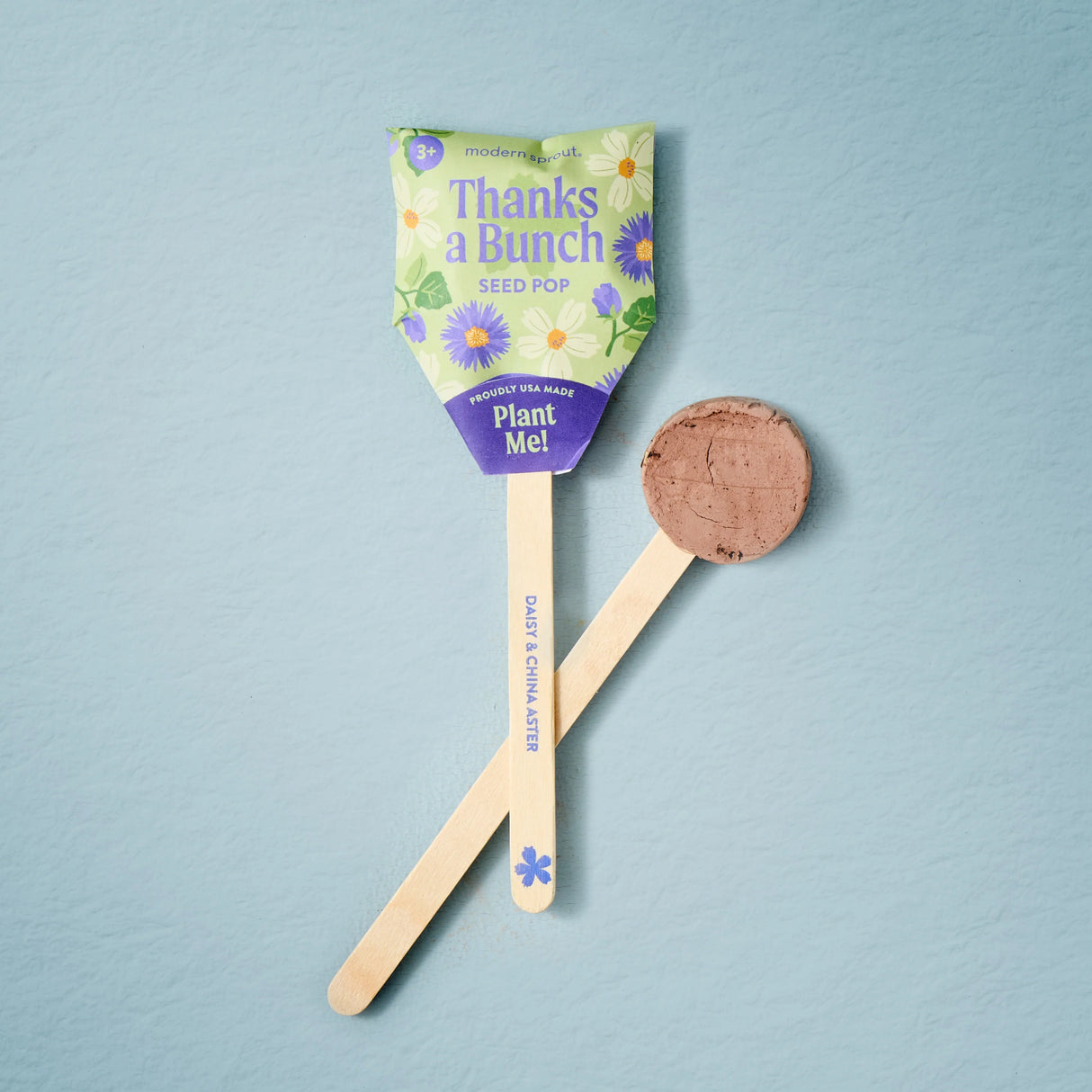 Plantable Wildflower Seed Pop Gift | Modern Sprout