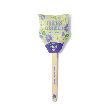 Plantable Wildflower Seed Pop Gift | Modern Sprout