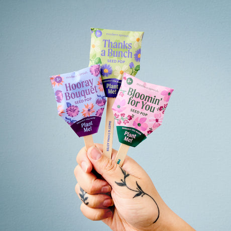 Plantable Wildflower Seed Pop Gift | Modern Sprout