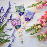 Plantable Wildflower Seed Pop Gift | Modern Sprout