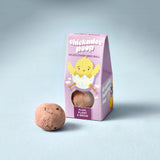 Easter Wildflower Plop Seed Ball | Modern Sprout