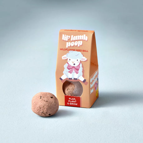 Easter Wildflower Plop Seed Ball | Modern Sprout