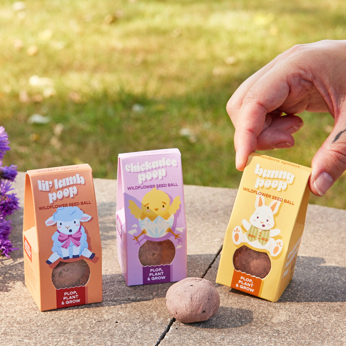 Easter Wildflower Plop Seed Ball | Modern Sprout