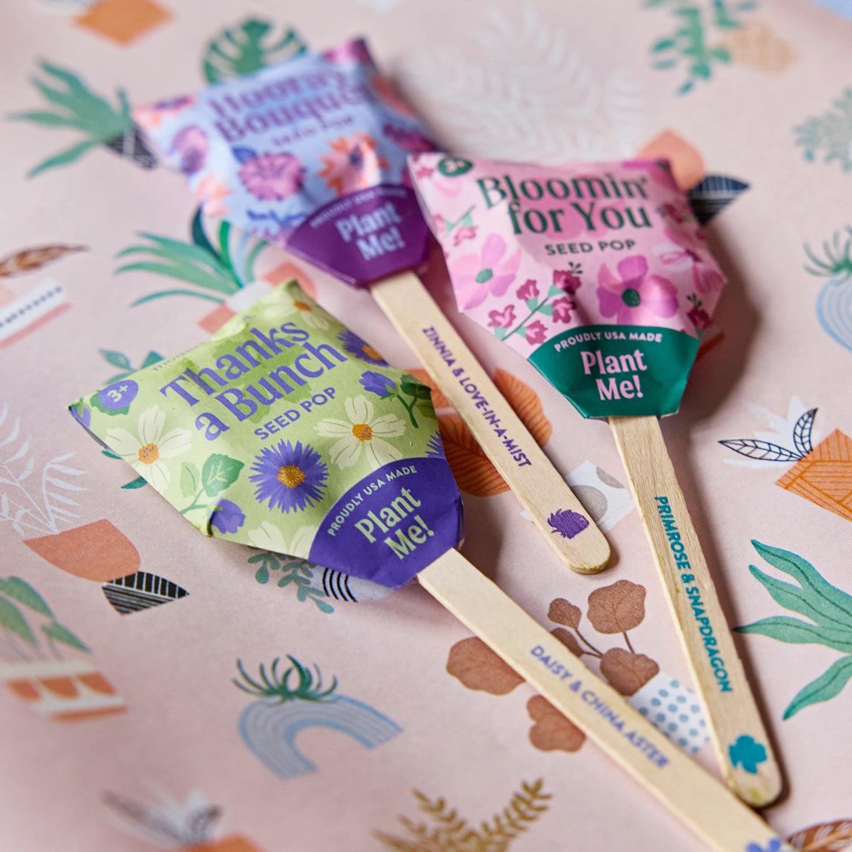 Plantable Wildflower Seed Pop Gift | Modern Sprout