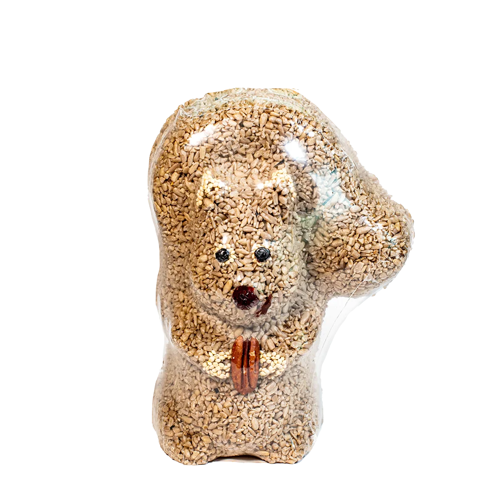 Nutzo the Sunflower Heart Squirrel Bird Seed Treat | Mr. Bird