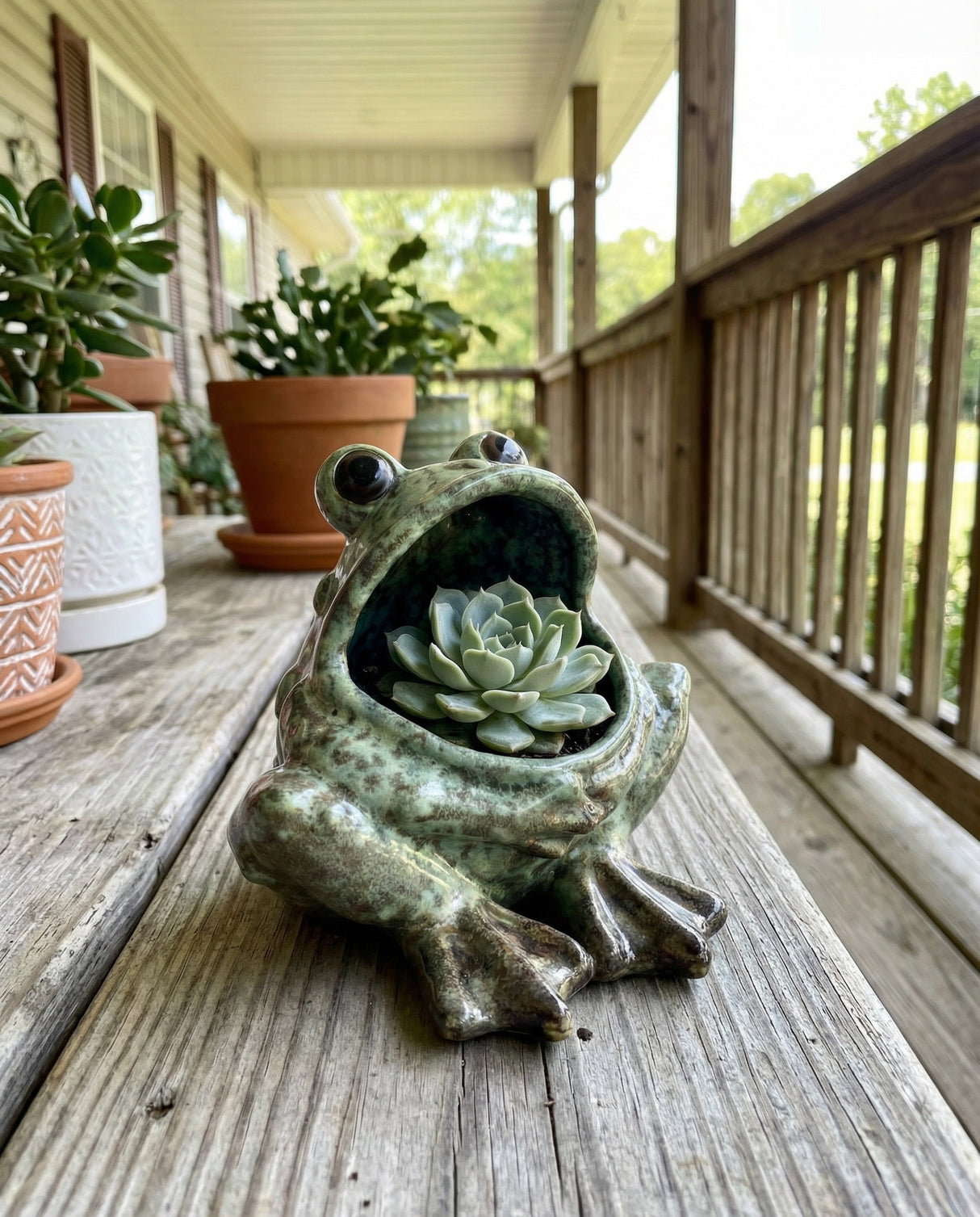 Open Mouth Ceramic Frog Planter