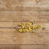 Faux Yellow Forsythia Stem